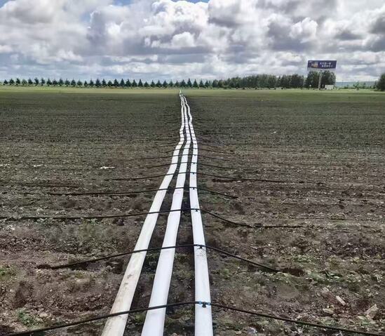 伟德国际(victor1946)官方网站-Officials Website