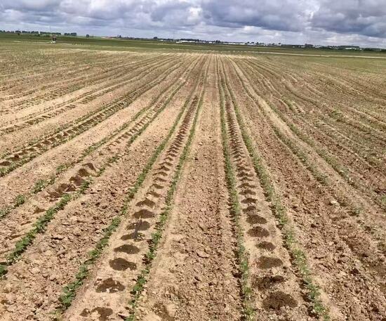 伟德国际(victor1946)官方网站-Officials Website